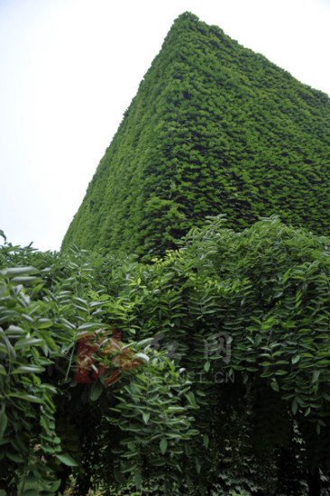 这个角度基本看不出是大楼