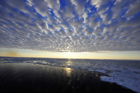 北纬81度的北冰洋