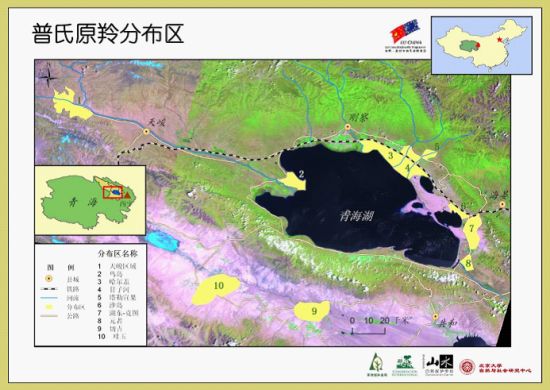 普氏原羚分布图