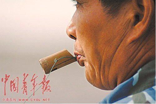 　　神奇的鸟哨由一小段竹子削制而成，看上去并无神奇之处，但在金伟国的嘴里却能发出30多种鸟的叫声。