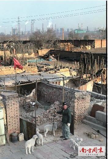 明埃关的家和稀土厂只有一墙之隔，每天都得忍受稀土厂的有毒气味，因土地不产庄稼，只能靠养羊为生。