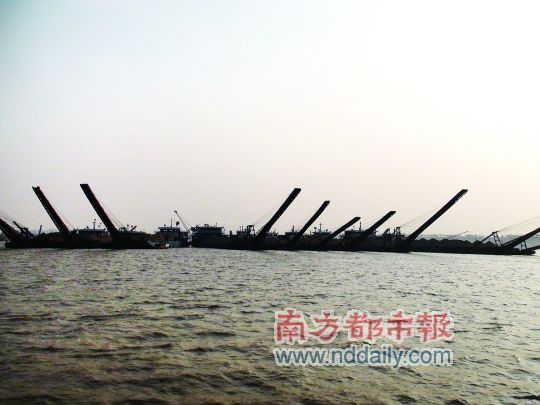 洞庭湖长江口的运沙船连成了片，洞庭湖江豚已经被迫与长江分离，成为相对孤立的群体。 南都记者 杨传敏 摄