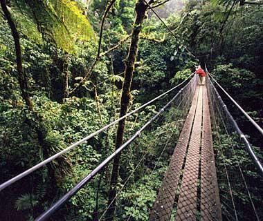 Santa Elena and Monteverde Cloud森林保护区(哥斯达黎加)