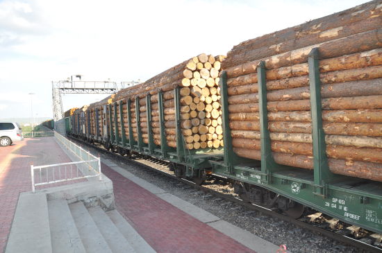 俄罗斯进口木材专列等待边防查验