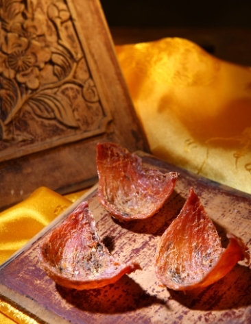 血燕真实存在吗