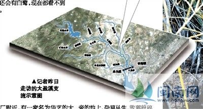 记者昨日走访的大盈溪支流示意图