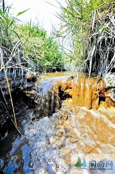 湖内溪中，褐色的溪水散发着刺鼻的臭味