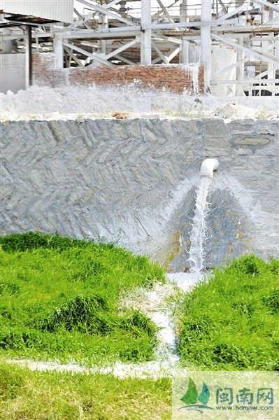 南侨溪边，白色塑料管道正往溪里排污