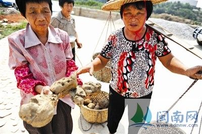 湖内村村民说，用污水种出来的地瓜，很多都烂了