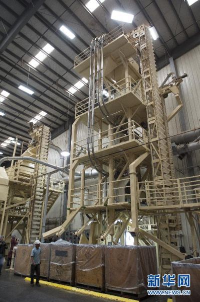 3月19日，在美国加利福尼亚州莫德斯托，一名工人在巴旦木加工分选机械前工作。