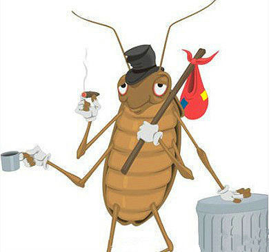 蟑螂怕香味——蟑螂不喜欢黄瓜的味道，可以将一两段掰断的黄瓜放在它们经常出没的地方。