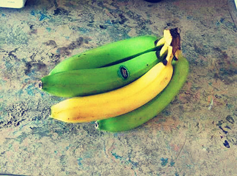 这绝对不是亲生的。by120534