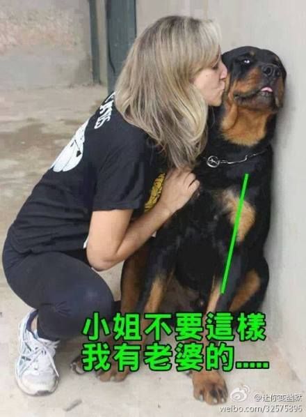 小姐，请放尊重些，我是有老婆的狗！