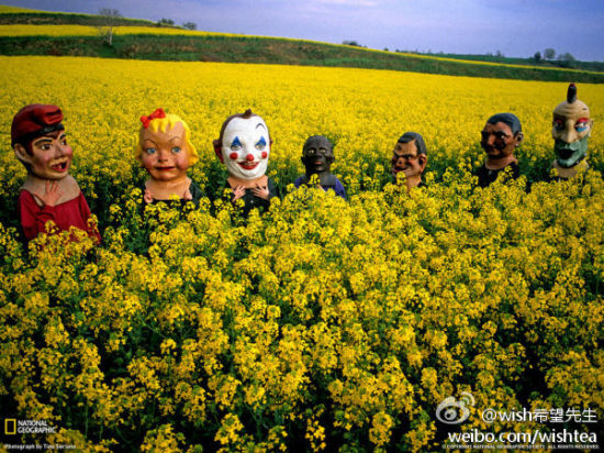 wish希望先生：#希望正能量#你可以发火， 但也要发光； 你可以发泄，但也要发奋！