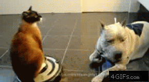 “土豪我们做.....！”” “滚。”