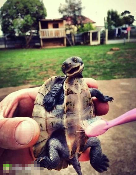 少年，你真的是因为感觉到痒所以才笑的么？？？