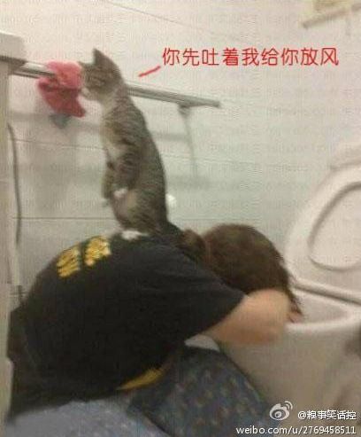 看喵星人是如何对待自己宿醉的主人的