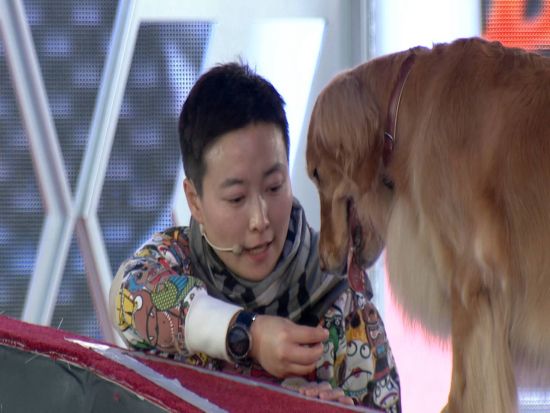 与金毛进行沟通