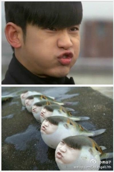 使徒子：我老婆跟我说敢P秀man晚饭就不给你做肉了，于是我决定吃顿素的…