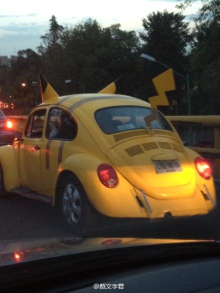 老爸发现了这只皮卡丘后，追逐了二十分钟才拍下了一张它的照片给我. 【tumblr：karkaboo】