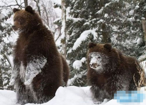 熊大刚刚给我做了个面膜，效果还不错呢。
