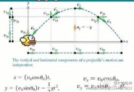 教你怎样玩好flappy birds