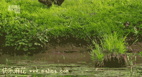 有些事做熟了就没意思了。试着改变， 就有了新意。