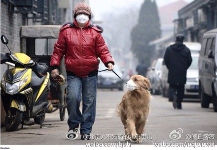 @闾丘露薇：路透社的照片——北京