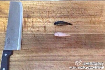 媳妇说今天给我做两条鱼补补身体！真贤惠！