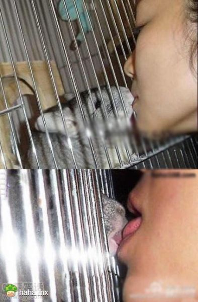 上面的兄弟好好学学吧