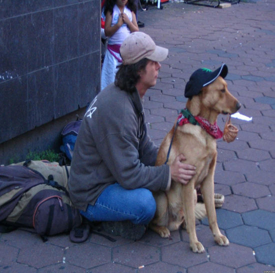 在柏林布施德广场，青年一只手牵着一只名贵的狗，向行人乞讨，