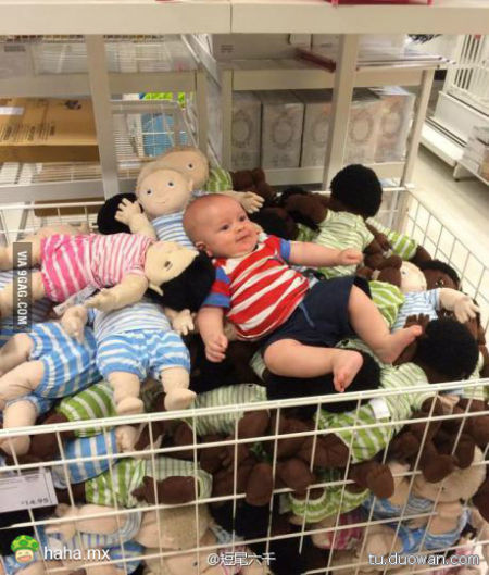 第五天。他们还是没发现我。