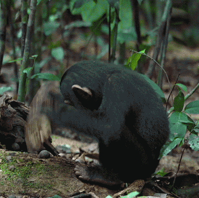 据说敲到50下的时候，会有意外发生。