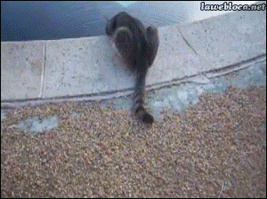 尼玛 摄影师 是由多丑啊~~