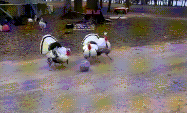 世界杯快开始了，兄弟们抓紧点练习！