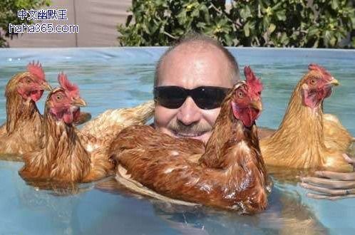 今天叫了几个鸡一起泳泳！有图有真相。