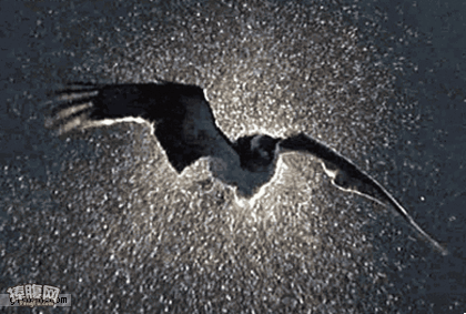 你听我解释！-我不听我不听我不听！