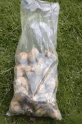 　　老外教你怎么在1分钟之内削2公斤土豆的秘籍..... 你觉得还有神马东西能阻止他们对于土豆的追求么.... 你需要的是.... 一个马桶刷-。-