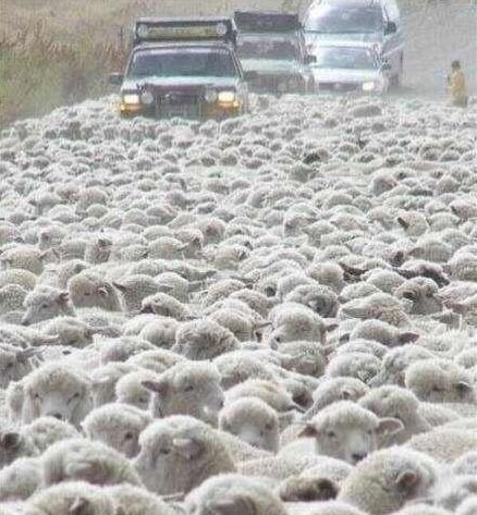 这样的堵车怎么破？