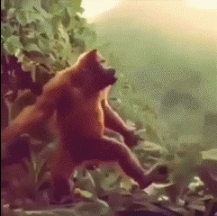 差不多一个意思