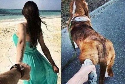 差距也不是特别大，狗狗要是尿了怎么办？