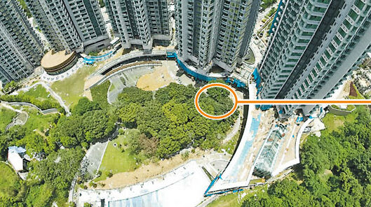 (图中标出来的地方，就是坟墓所在地)