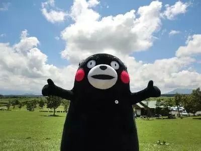 熊本县的吉祥物——kumamon 熊本熊