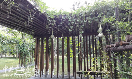 图片来源：中央党校网。