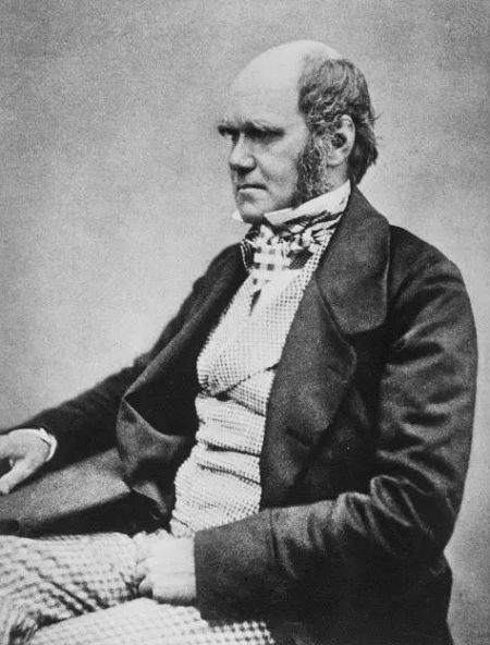 达尔文（Charles Robert Darwin，1809—1882），英国生物学家、进化的自然选择理论提出者。