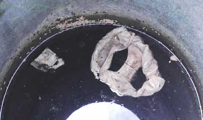 谢向明   实习生 林欣 文/图               密密麻麻的蛆,还漂着一件