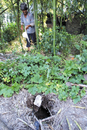 人獾首战结果人败了