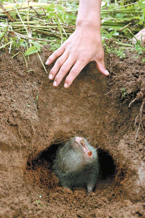 影像2007—"看你往哪里跑!