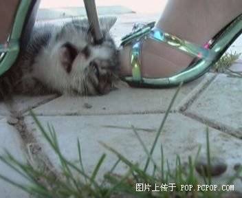 网络语言暴力泛滥 网友呼吁进行治理