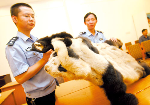 警察博物馆昨展示镇馆之宝大熊猫皮